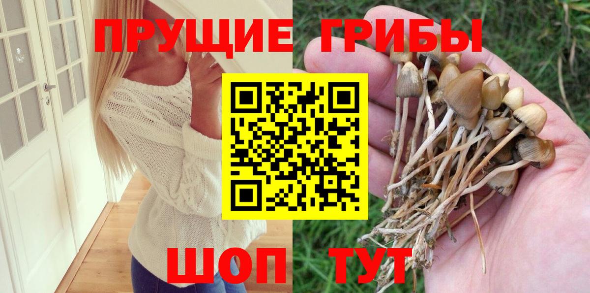 Галлюциногенные грибы ЛСД  Псилоцибиновые грибы прущие грибы  что такое   Вход с VPN  Кимры 